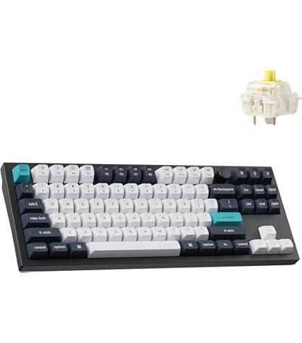 ☆REALFORCE R3HC41 45g☆ Amazon.com: Realforce R3 Topre 45g White Bluetooth Dye Sub PBT